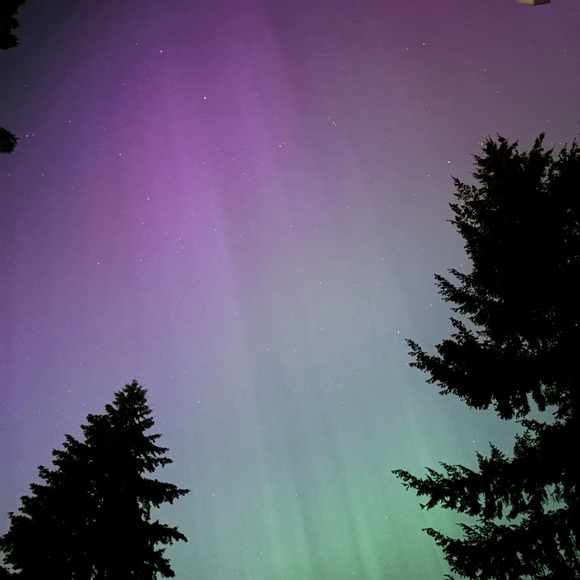 Meet your Posher, Jen. - Picture 2 of 3